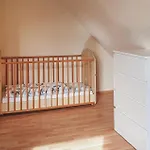 Ferienhaus 4 Bedroom Pet Friendly In Steinberg (Schleswig-Holstein)